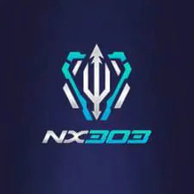 nx303